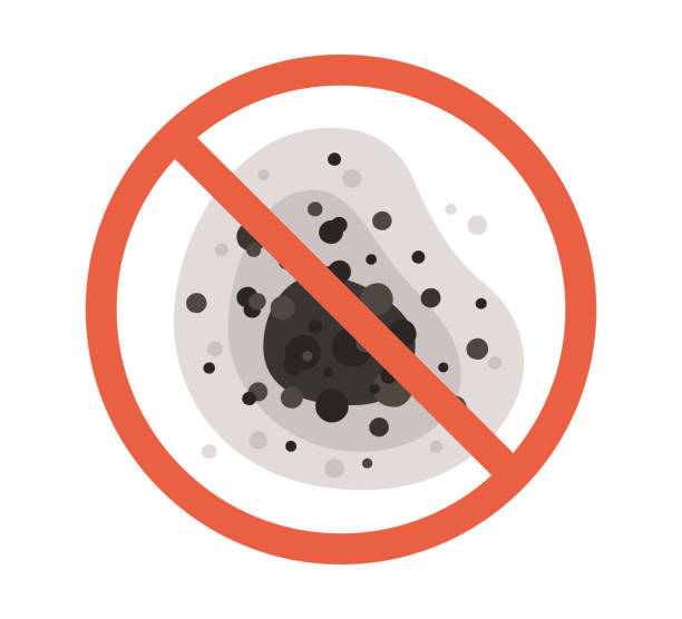 Best Forensic Mold Investigation  in De Graff, OH