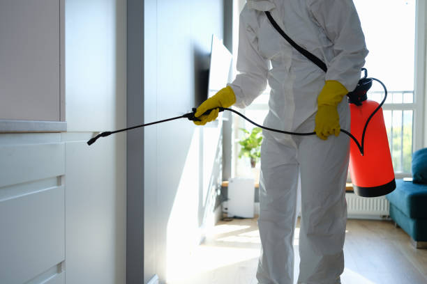 Best Mold Removal for HVAC Installations  in De Graff, OH