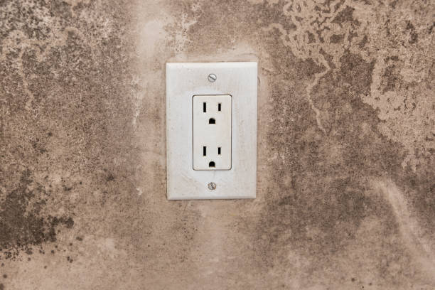 Best Residential Mold Inspection & Testing  in De Graff, OH